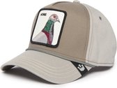 Rainbow Trout Black/Petrol Trucker - Goorin Bros.