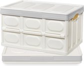 Set van 2 professionele vouwboxen, 55 liter, transportbox met deksel, stapelbare dozen, opbergbox, vouwboxen, stapelboxen voor opslag en transport, opvouwbare opbergbox met handvat, PP (55 l)