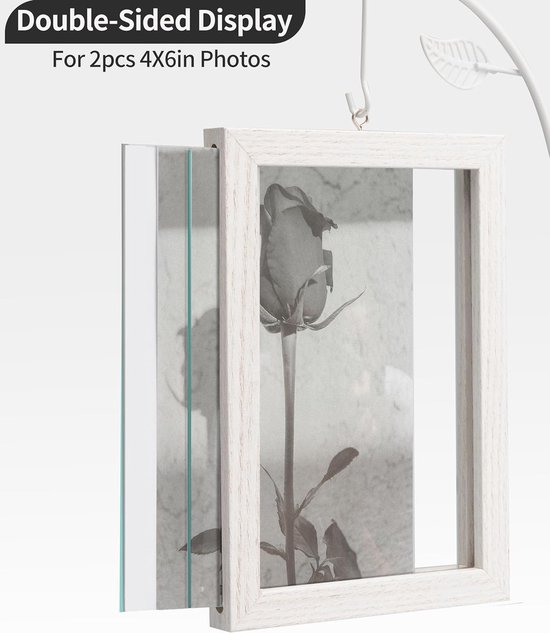 Fotolijst Muur Plant Houder, Raamplant Planken, Plantenframes Voor