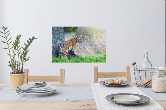 Stickers muraux - Film adhésif - Tigre dans la forêt - 60 x 40 cm - Film adhésif - Stickers muraux chambre d'enfant - Papier peint autocollant - Film adhésif