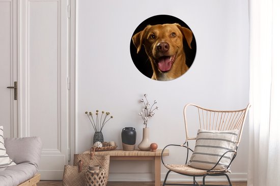 Wallpaper Circle - Chien - Animaux domestiques - Portrait - 80x80 cm - Wall Circle