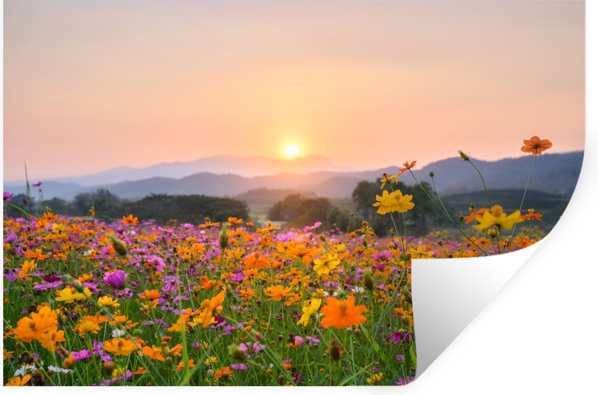 Muurstickers - Sticker Folie - Bloemen - Zonsondergang - Berg - 120x80 cm - Plakfolie - Mu