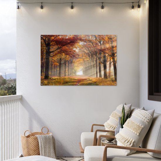 Affiche de jardin Automne - Forêt - Arbre - 120x80 cm - Jardin