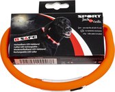 JV Sport herlaadbare LED-halsband - Oranje