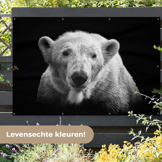 Décoration murale Ours polaire - Animal - Zwart - Wit - 180x120 cm - Poster jardin - Toile jardin