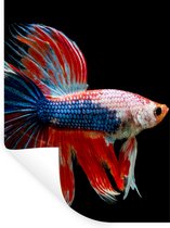 Stickers muraux - Film autocollant - Poisson - Animal marin - Staart - Blauw - 60x80 cm - Film adhésif - Stickers muraux chambre enfant - Papier peint autocollant - Papier peint autocollant - Film autocollant