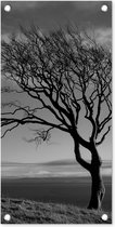 Tuinposter Winterfoto beukenboom zwart-wit - 30x60 cm - Tuindoek - Buitenposter