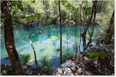 Muurdecoratie Meer in de bossen van Tulum Mexico - 180x120 cm - Tuinposter - Tuindoek - Buitenposter