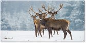 Schuttingposter Hert - Dieren - Sneeuw - Winter - Landschap - Natuur - 200x100 cm - Tuindoek
