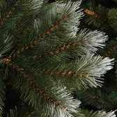 Triumph Tree - Pittsburgh kerstboom groen TIPS 1290 - h260xd132cm - Kerstbomen