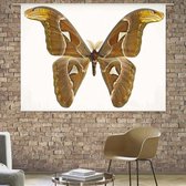 Wandkleed Atlasvlinder