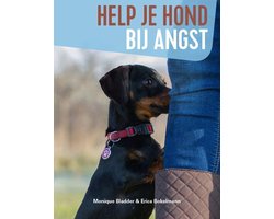 Help je hond bij angst