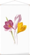 Krokus (Crocus) - Foto op Textielposter - 60 x 90 cm