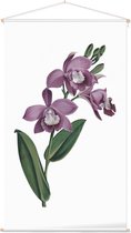 Orchidee Aquarel 1 (Orchid) - Foto op Textielposter - 60 x 90 cm