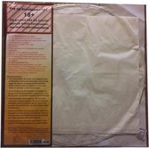 5x wensballon XL - 50 x 100 cm - incl gratis aansteker - wensballonnen - Wit