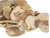 Noten, Fruit En Dennenappels - Pb. Sponge Mushroom (8-10cm) Natural 500 Gr