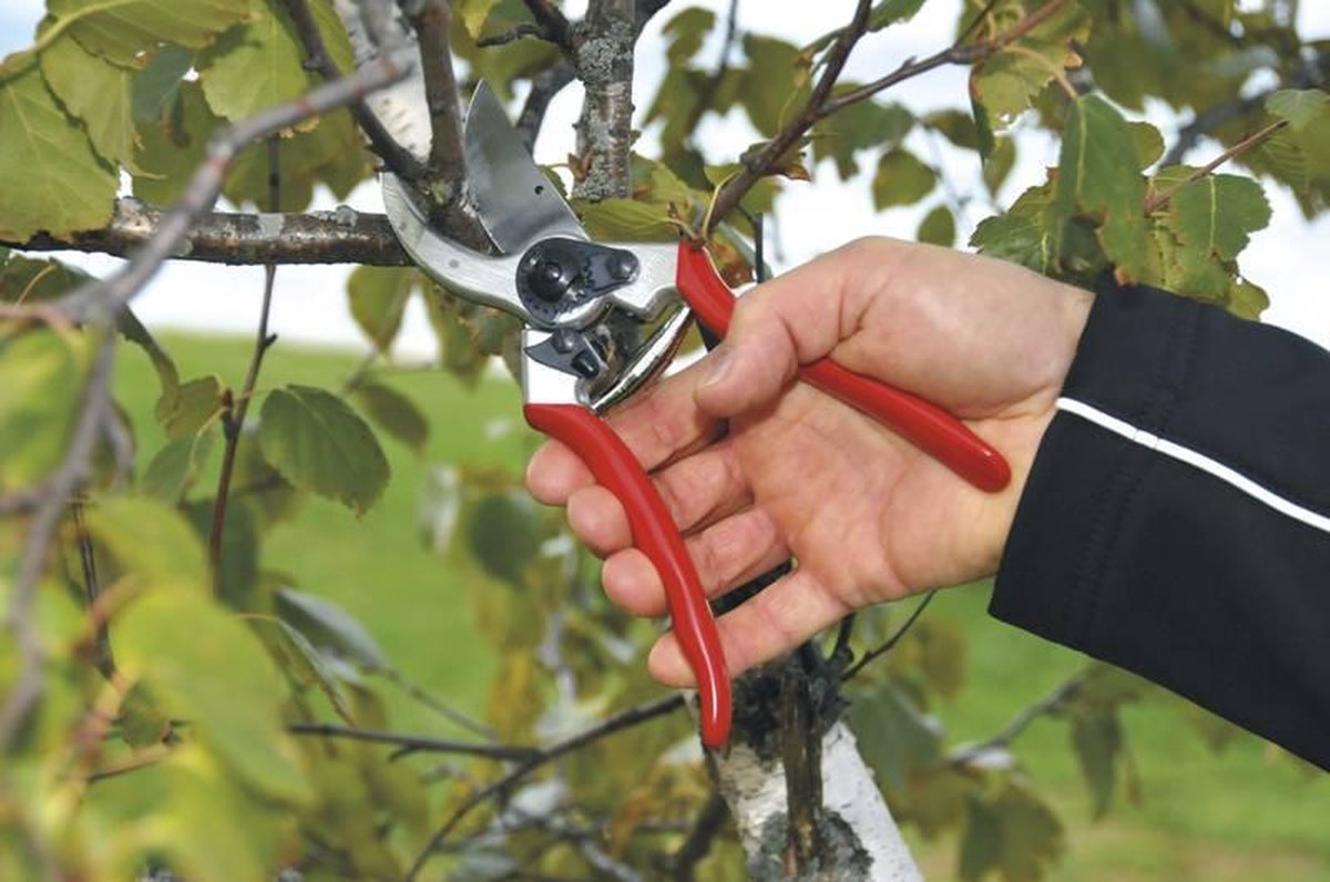Felco 2 Pruning Shears - Right-Handed - Max. Cutting Diameter 25 mm