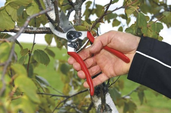 Felco 2 Snoeischaar - Rechtshandig - Max. knipdiameter 25 mm - Lengte 215 mm