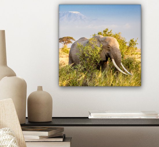 Tableau Toile Éléphant - Animaux - Herbe - Vert - Berg - 20x20 cm - Décoration Murale
