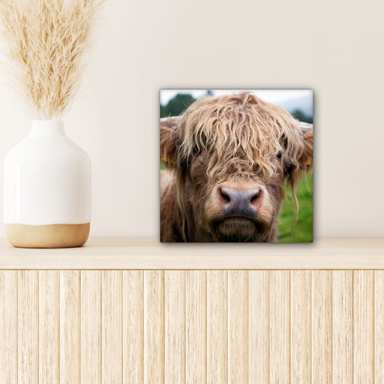 Peinture sur toile Highlander écossais - Herbe - Forêt - 20x20 cm - Décoration murale