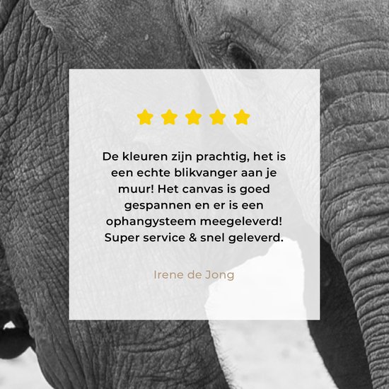 Canvas Schilderij Olifant - Baby - Dieren - Pad - Zwart wit - 20x40 cm - Wanddecoratie