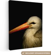Canvas Schilderij Vogel - Snavel - Veren - 30x40 cm - Wanddecoratie