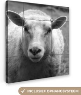 Canvas Schilderij Schaap - Hek - Zwart - Wit - 90x90 cm - Wanddecoratie