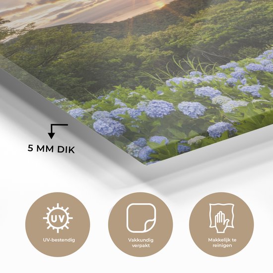 Peinture sur Verre - Coucher de Soleil avec Hortensia - 120x80 cm - Peintures sur Verre Peintures - Photo sur Glas