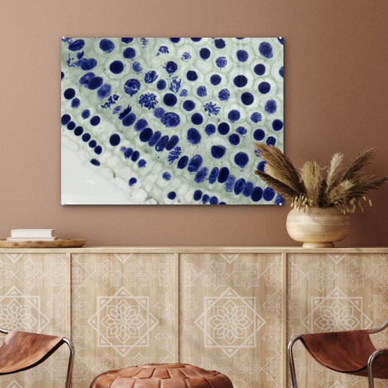 Peinture sur verre - Cellules bleues sous le microscope - 80x60 cm - Peintures sur Verre Peintures - Photo sur Glas