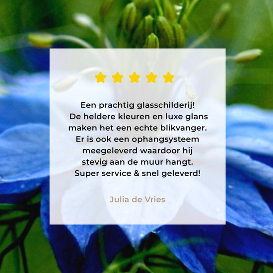 Peinture sur verre MuchoWow® 50x50 cm - Peinture acrylique sur verre - Une fleur de nigelle dans un environnement verdoyant - Photo sur verre - Peintures