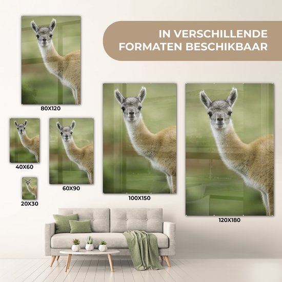 MuchoWow® Peinture sur verre 40x60 cm - Peinture sur verre acrylique - Lama - Animaux - Portrait - Photo sur verre - Peintures