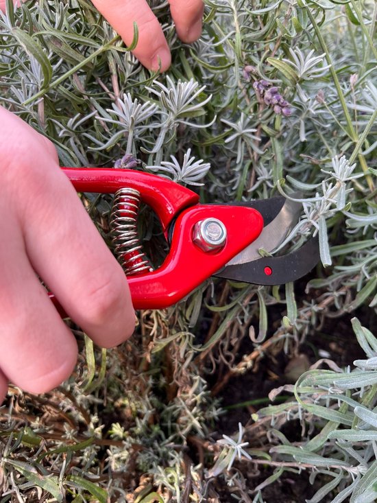 Talen Tools - Snoeischaar - Rood van Merkloos	 — afbeelding 4