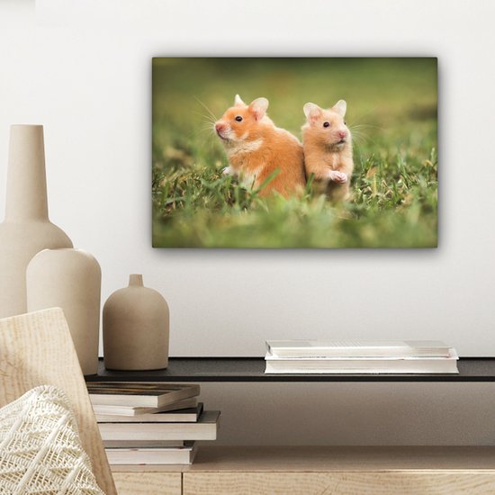Tableau sur toile Hamsters dorés - 30x20 cm - Décoration murale