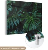MuchoWow® Glasschilderij 80x60 cm - Schilderij acrylglas - Monstera - Bladeren - Tropisch - Jungle - Foto op glas - Schilderijen