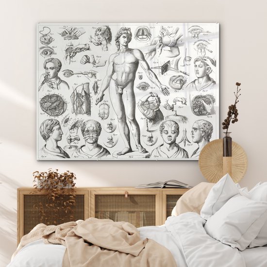 MuchoWow® Glasschilderij 120x90 cm - Schilderij acrylglas - Illustraties van verschillende chirurgische ingrepen - Foto op glas - Schilderijen