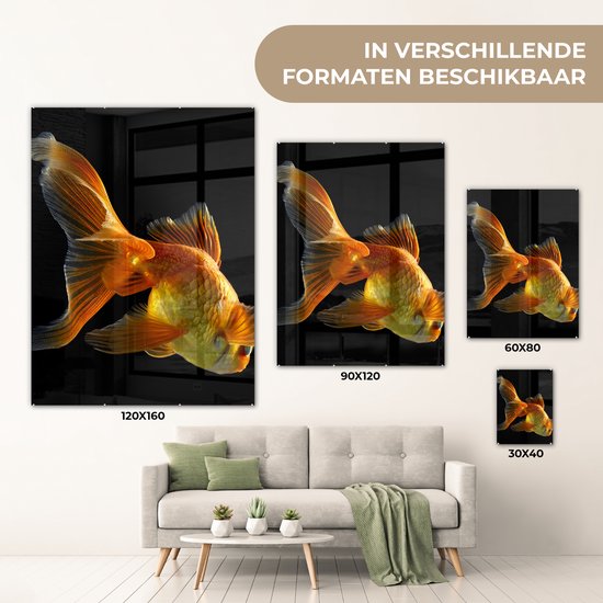 MuchoWow® Peinture sur verre 60x80 cm - Peinture sur verre acrylique - Poisson rouge - Animaux - Zwart - Photo sur verre - Peintures