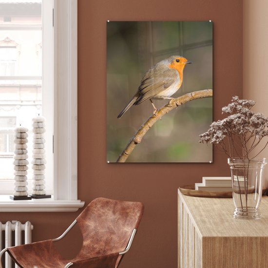 MuchoWow® Glasschilderij 60x80 cm - Schilderij acrylglas - Roodborstje - Vogel - Natuur - Foto op glas - Schilderijen