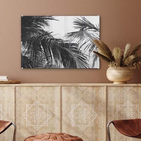 MuchoWow® Peinture sur verre 60x40 cm - Peinture sur verre acrylique - Feuilles de palmier - Nature - Vintage - Palmier - Photo sur verre - Peintures