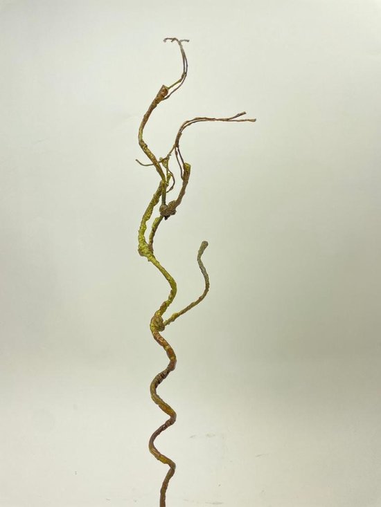 Zijden kunstbloem Houttak | Bruin | Lengte 52 centimeter
