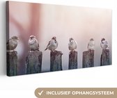 Canvas Schilderij Vogels - Mussen - Paaltjes - Hout - 80x40 cm - Wanddecoratie