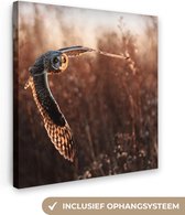 Canvas - Schilderij - Vogel - Uil - Zonsondergang - Natuur - Muurdecoratie vogels - Canvas doek - Foto op canvas - 90x90 cm - Slaapkamer