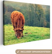 Canvas Schilderij Koe - Bruin - Boom - Natuur - 60x40 cm - Wanddecoratie