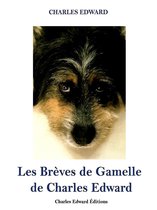 Les Brèves de Gamelle