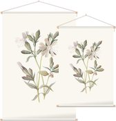Avondkoekoeksbloem (White Campion) - Foto op Textielposter - 40 x 60 cm