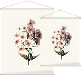 Vlambloem (Phlox White) - Foto op Textielposter - 45 x 60 cm