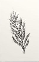 Tamarisk zwart-wit (Tamarisk) - Foto op Forex - 100 x 150 cm