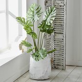 LOBERON Sierplant Monstera groen