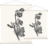 Akelei zwart-wit (Columbine) - Foto op Textielposter - 90 x 120 cm