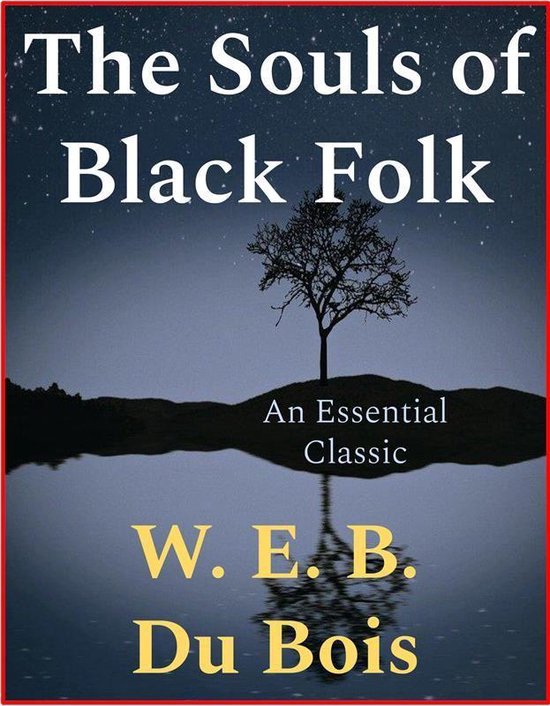 Boekcover met de titel 'The Souls of Black Folk'. Een eenzame boom weerspiegelt in stil water onder een sterrenhemel.