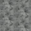 Annuell Hibiscus grijs 11003